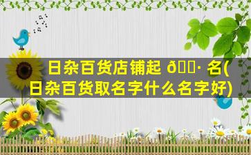 日杂百货店铺起 🌷 名(日杂百货取名字什么名字好)